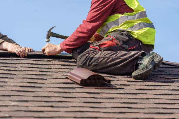 Best Gutter Installation and Roofing  in Genoa, IL