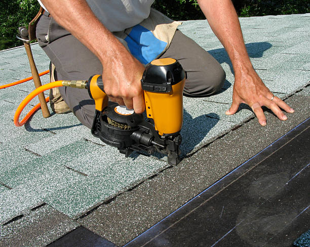 Best Roof Leak Repair  in Genoa, IL
