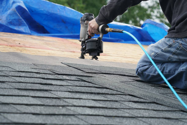 Best Flat Roof Repair Services  in Genoa, IL