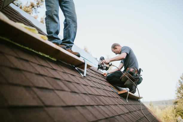 Residential Roof Replacement in Genoa, IL
