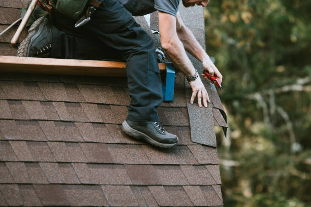 Best New Roof Installation  in Genoa, IL