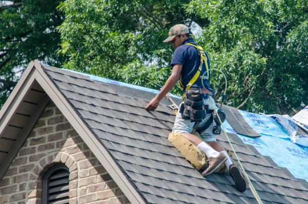 Sealant for Roof in Genoa, IL