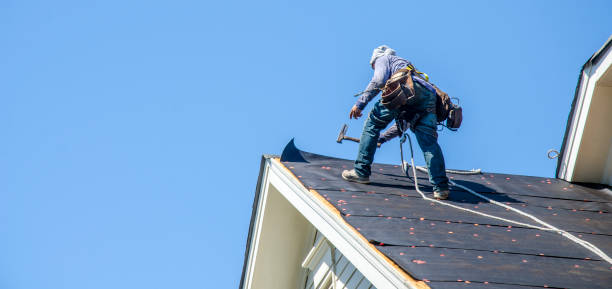 Best Roof Waterproofing Services  in Genoa, IL